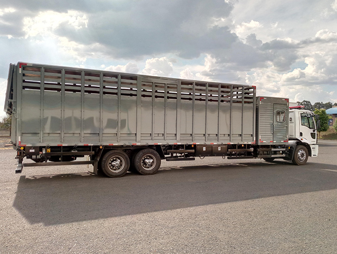  Caminhões para Transporte de Equinos 